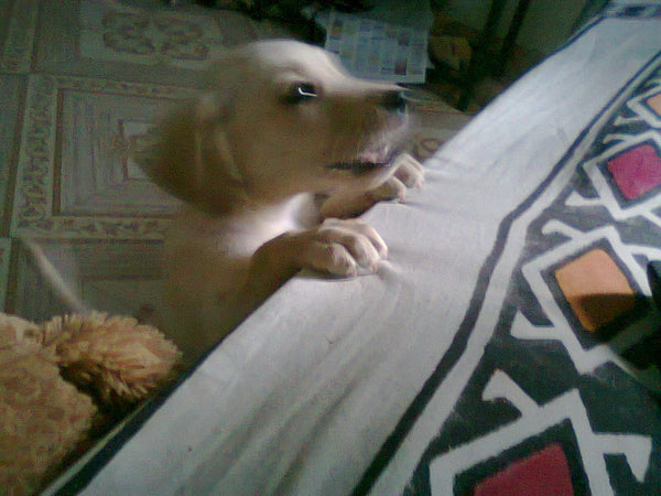 Exclusive local product