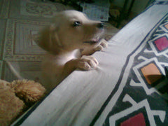 Exclusive local product